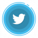 iconfinder_Twitter-01_1961292
